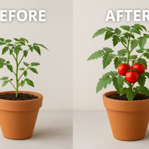"BIGBAGH Organic Vermicompost 6Kg – Natural Fertilizer for Home Gardening & Vegetables"