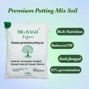 Potting Mix for Seedling Tray – Enriched Germination Soil with Cocopeat & Bonemeal