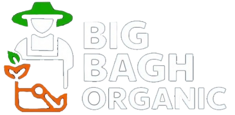 BigBagh