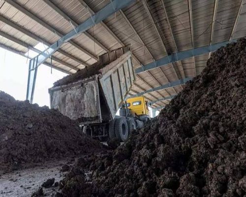 WhatsApp Image 2025-05-05 at 12.37.16