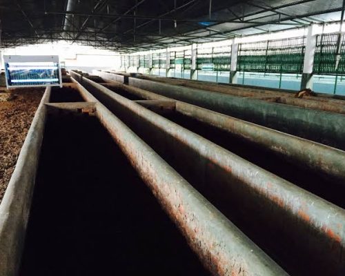 WhatsApp Image 2025-05-05 at 15.28.20