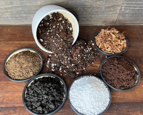 WhatsApp Image 2025-05-05 at 15.31.00