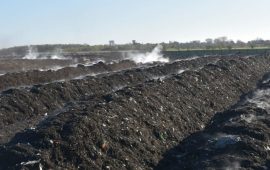 WhatsApp Image 2025-05-06 at 6.29.31 AM